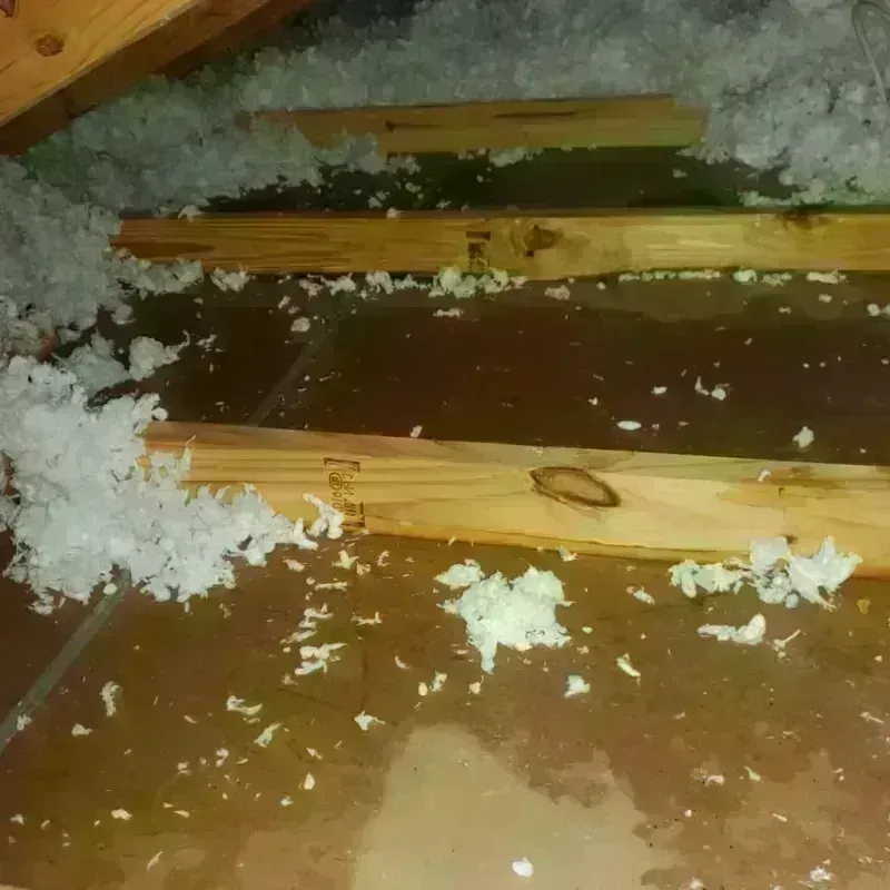 Attic Water Damage in Eastport, ME